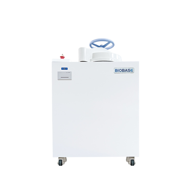 Autoclave vertical